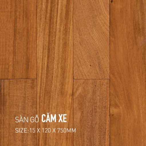 Sàn Gỗ Căm Xe
